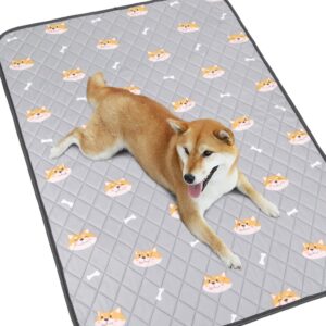 洗えるペットシーツ(100×67cm)×2枚SET